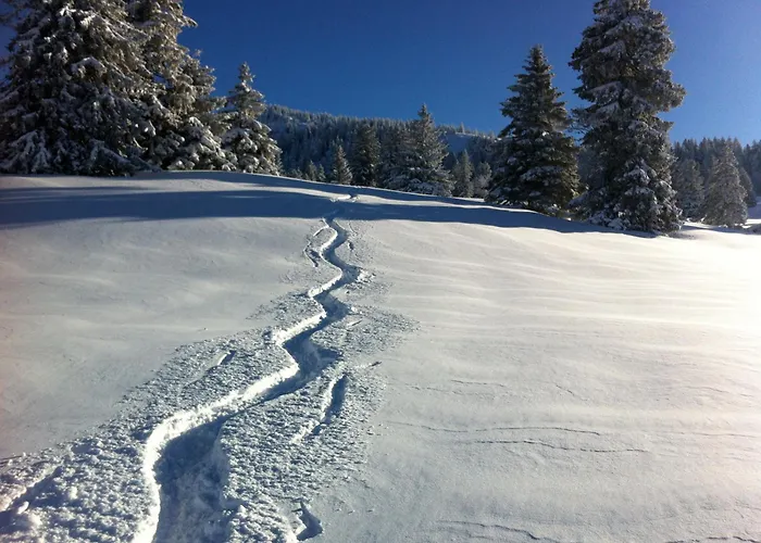 Grand D'architecte Villa Saint-Cergue