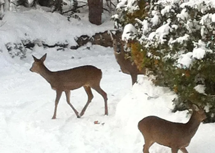 Grand D'architecte Villa *