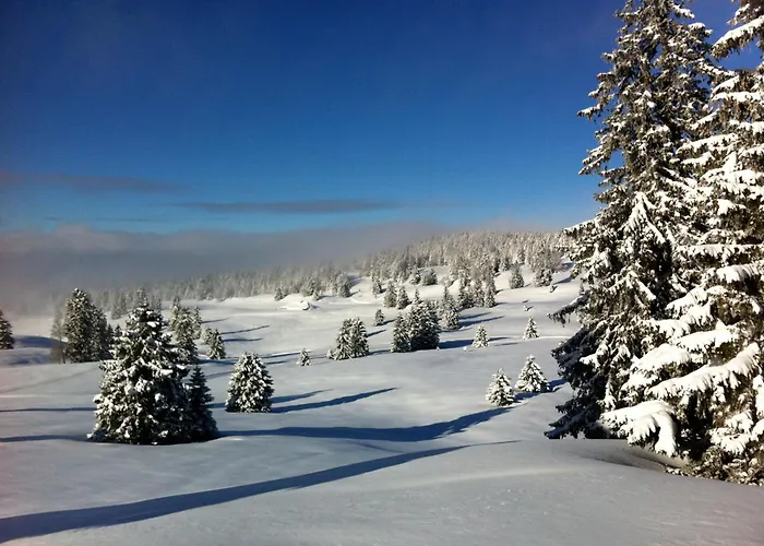 Villa Grand D'architecte *