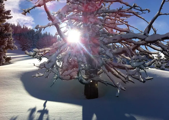 Grand D'architecte *